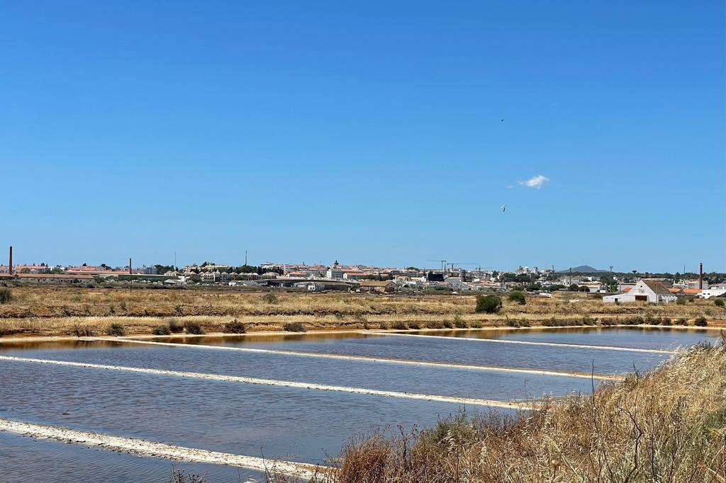 WhatsApp Image 2023-12-09 at 15.00.20(6)