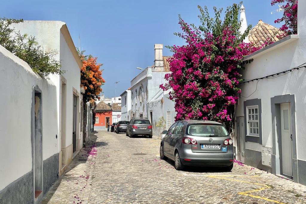 WhatsApp Image 2023-12-09 at 15.00.21