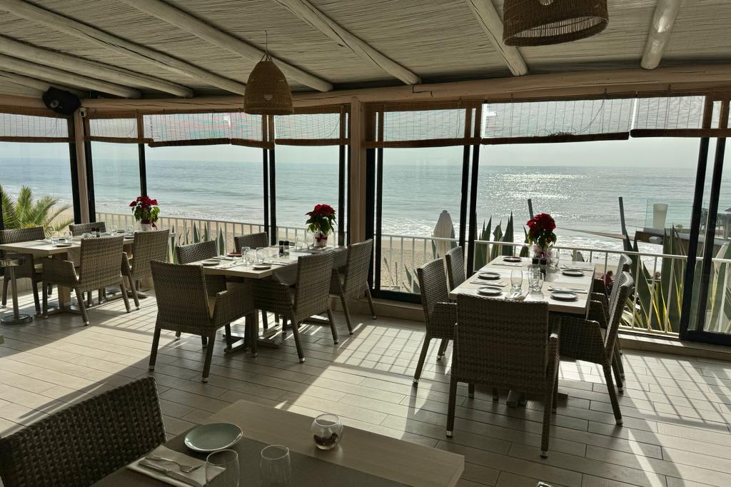 WhatsApp Image 2023-12-13 at 09.36.27