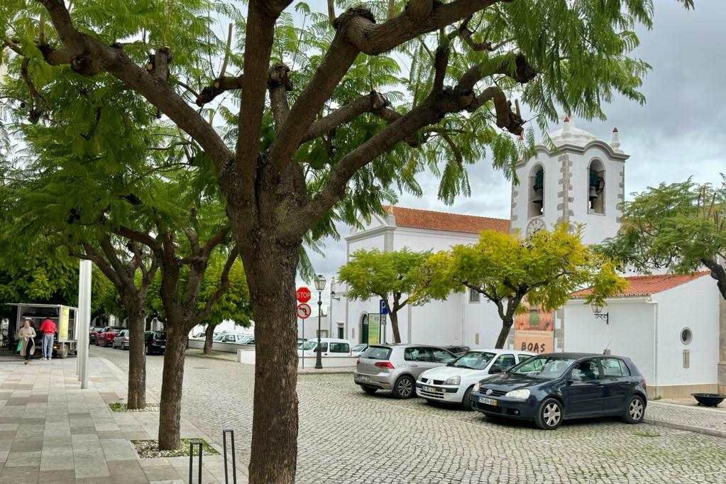 WhatsApp Image 2023-12-14 at 10.51.22(4)