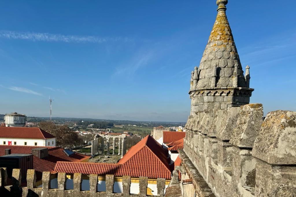 WhatsApp Image 2023-12-31 at 17.09.39(3)