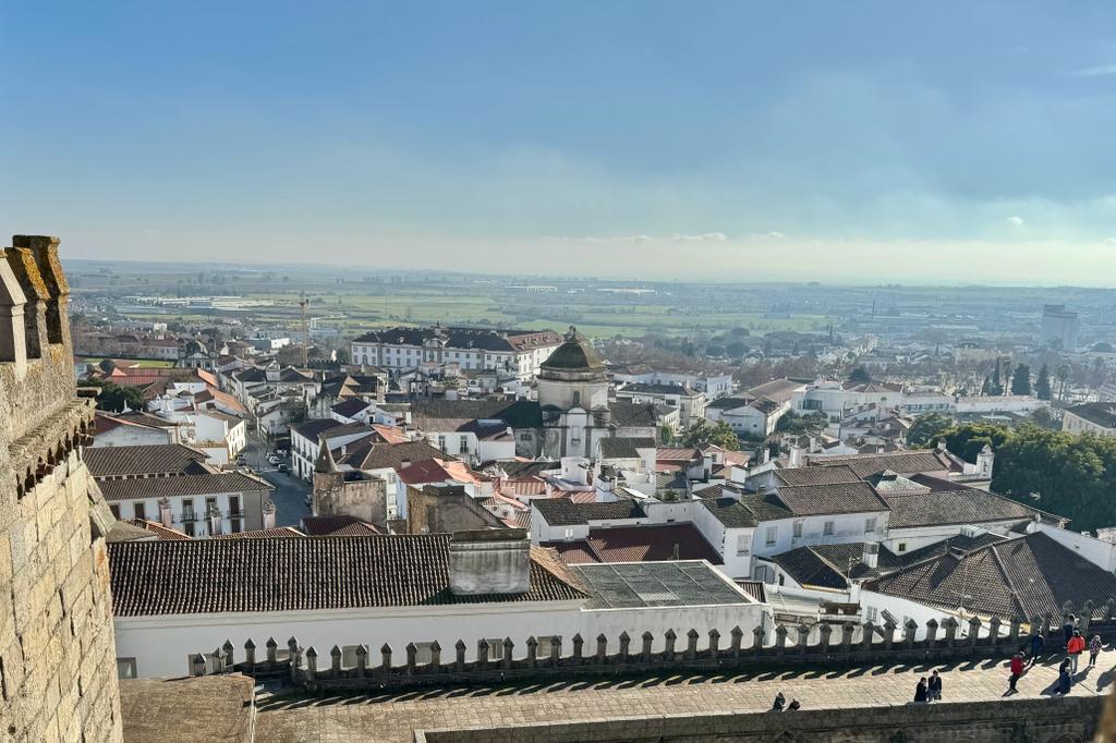 WhatsApp Image 2023-12-31 at 17.09.40