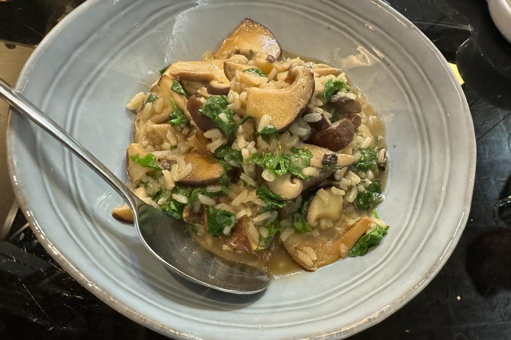 WhatsApp Image 2024-01-04 at 09.21.47(1)