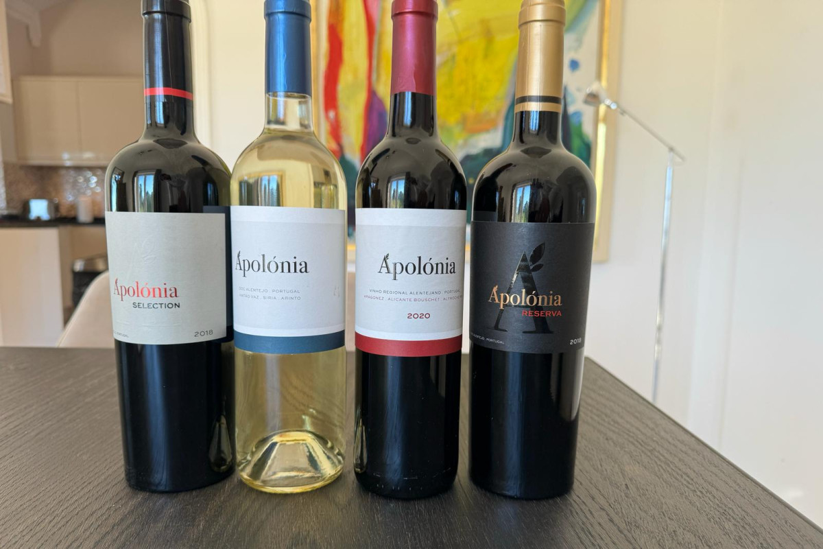 WhatsApp Image 2024-02-19 at 20.56.22(4)