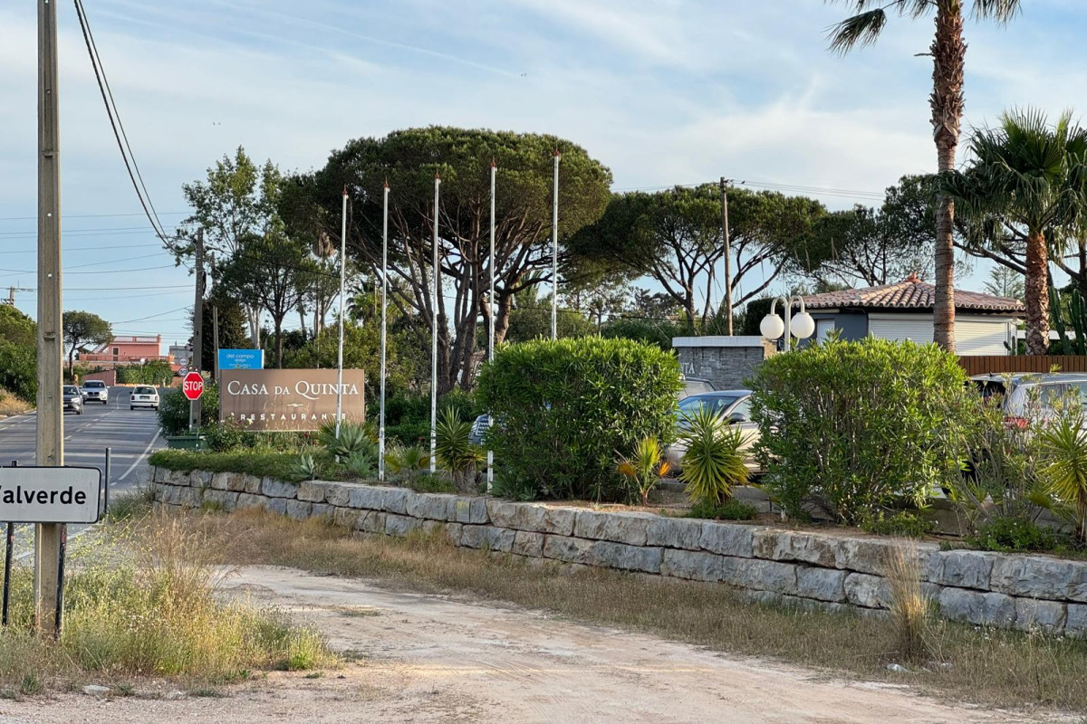 WhatsApp Image 2024-04-25 at 11.49.38