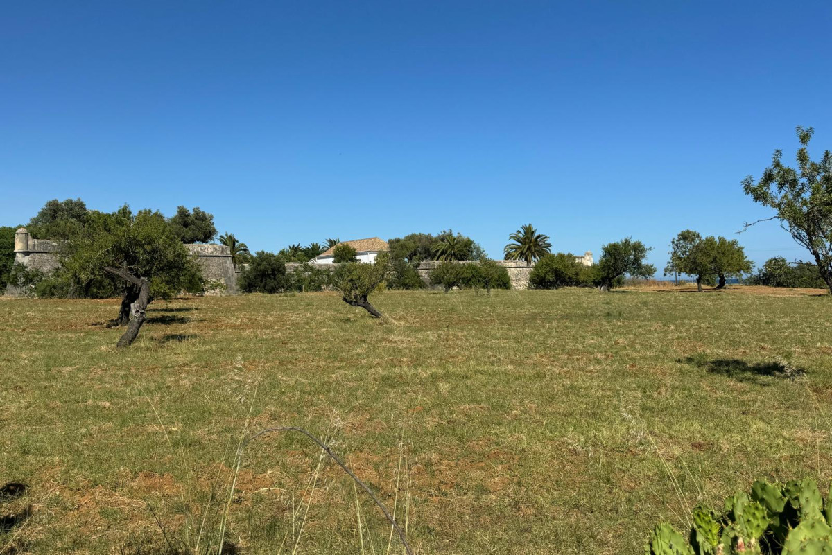 WhatsApp Image 2024-06-18 at 16.40.57(3)