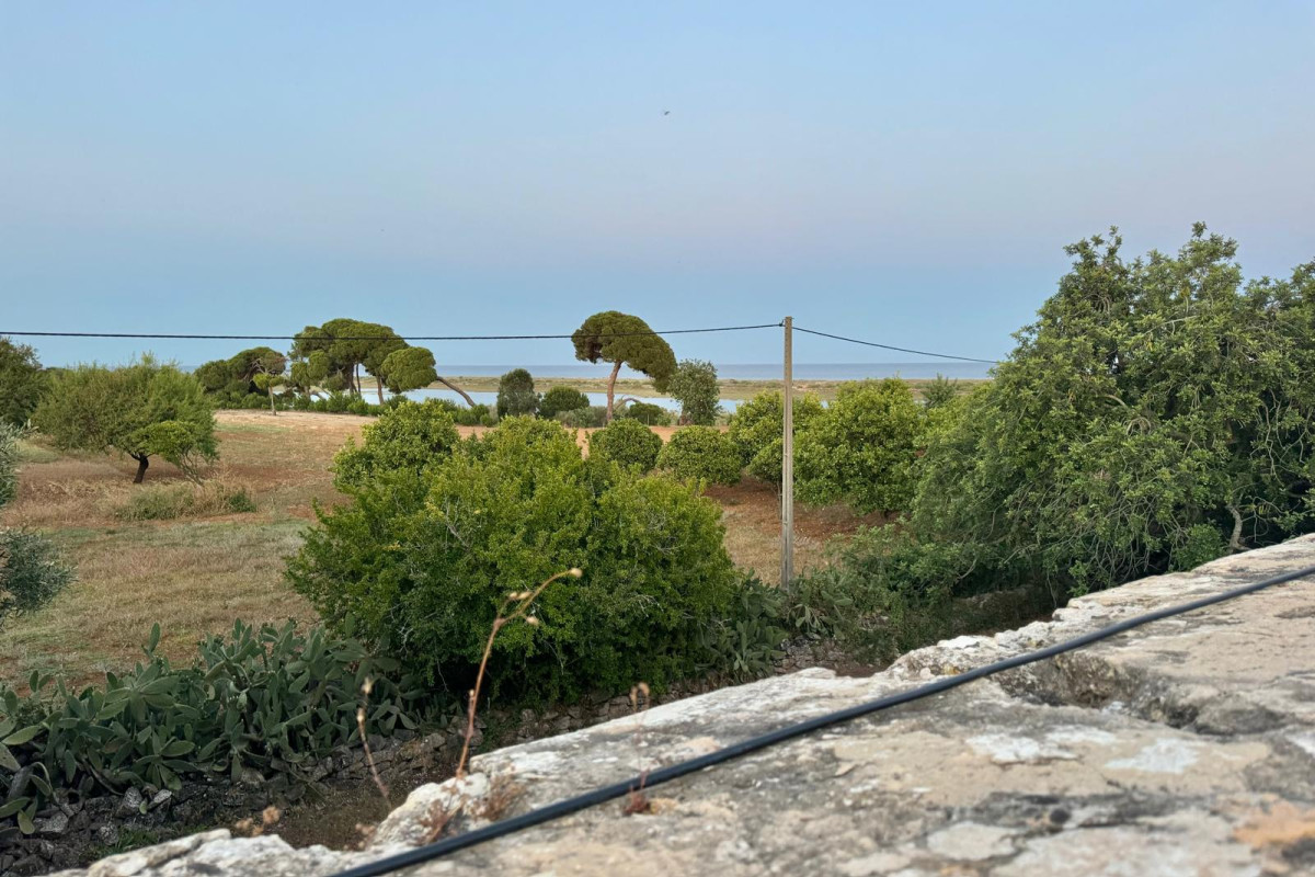 WhatsApp Image 2024-06-18 at 16.40.58(2)