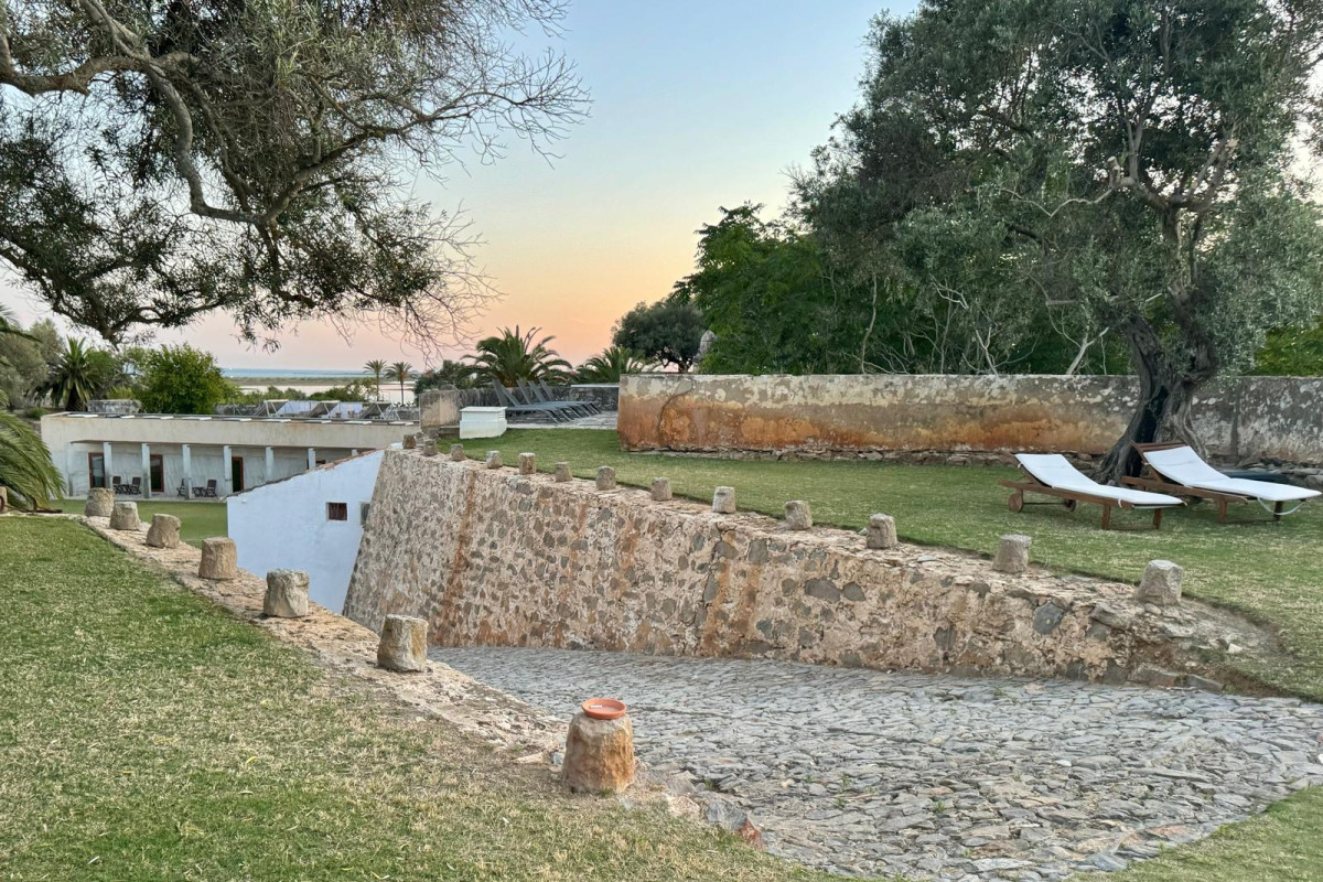 WhatsApp Image 2024-06-18 at 16.40.58(3)