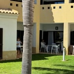 WhatsApp Image 2024-09-16 at 20.09.25(5)