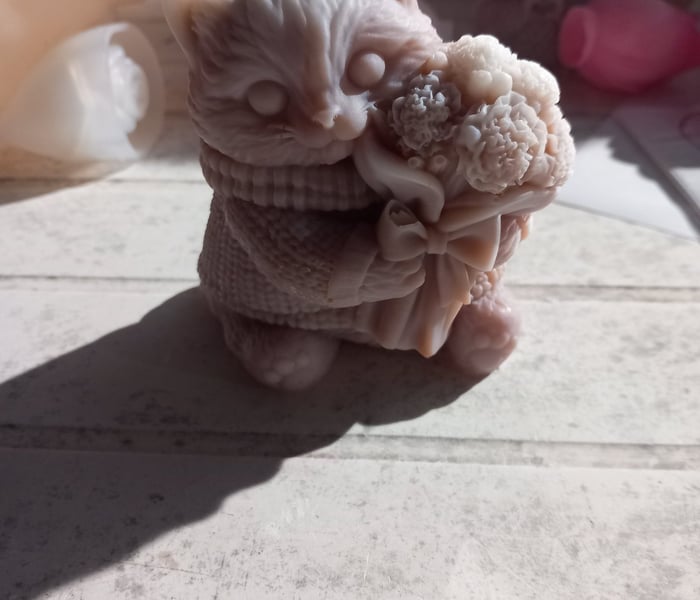 Fondant chat