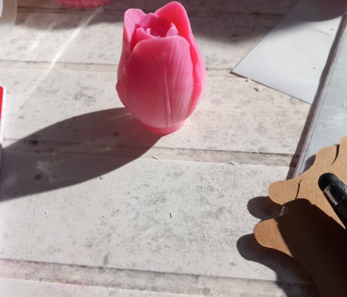 Fleurs