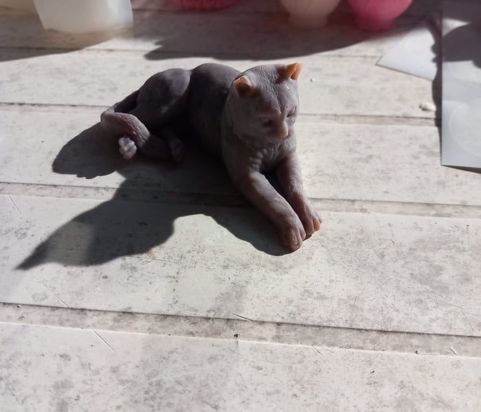 Fondant chat