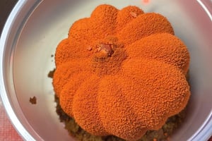 Trompe l'œil cirrouille