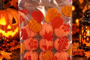 Sachet de 9 fondants automne