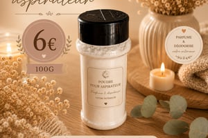 Poudre aspirateur