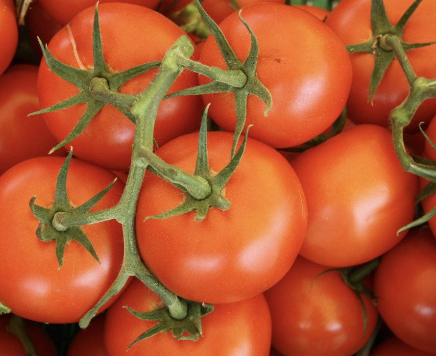 Tomates grappe 1kg