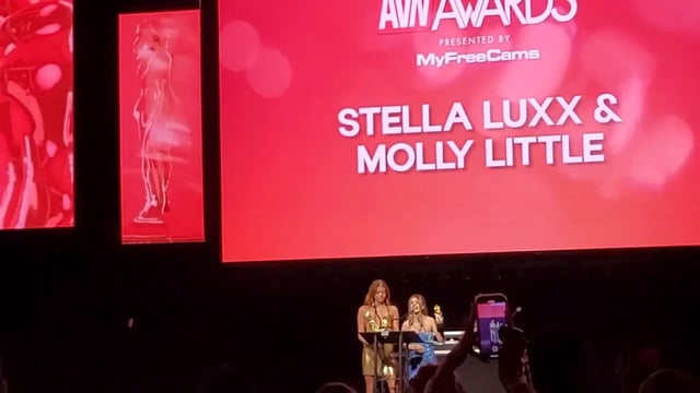 AVN Nomination Party 2024