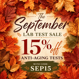 September Sale Banner
