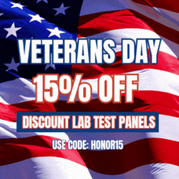 Veterans Day Sale Banner