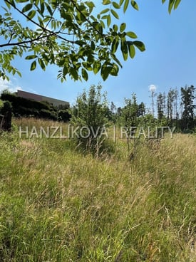 Image from gallery