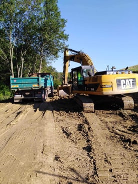 Image from gallery