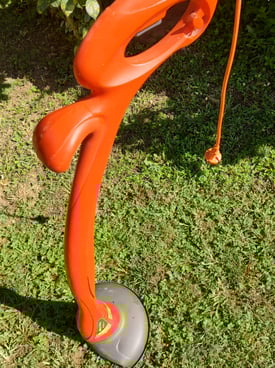 Image from gallery