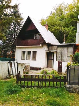 Image from gallery
