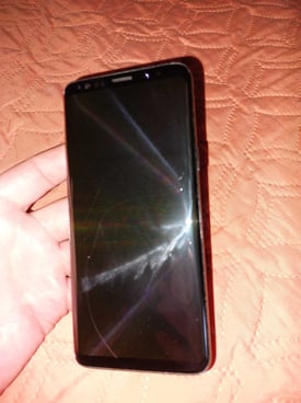 Image from gallery