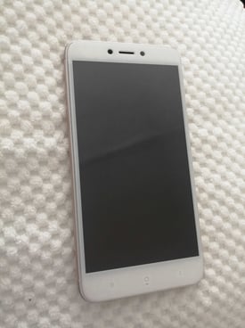 Image from gallery