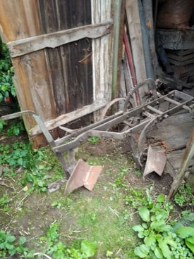 Image from gallery