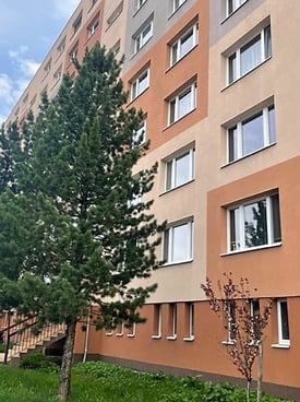 Image from gallery