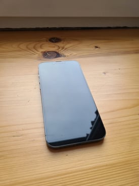 Image from gallery