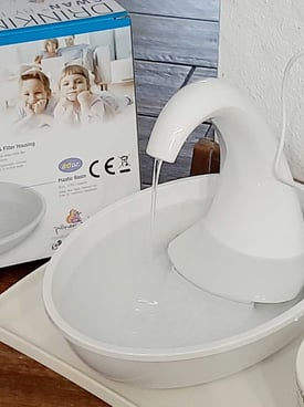 Image from gallery