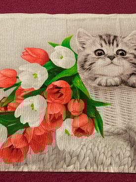 Image from gallery