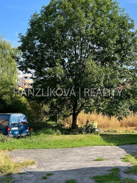 Image from gallery