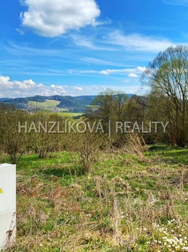 Image from gallery