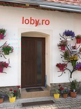 Image from gallery