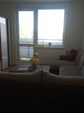 Image from gallery