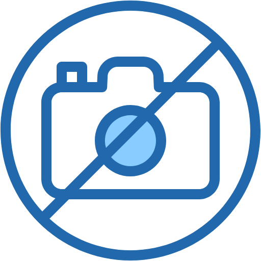 Free No Photo icon two-color style