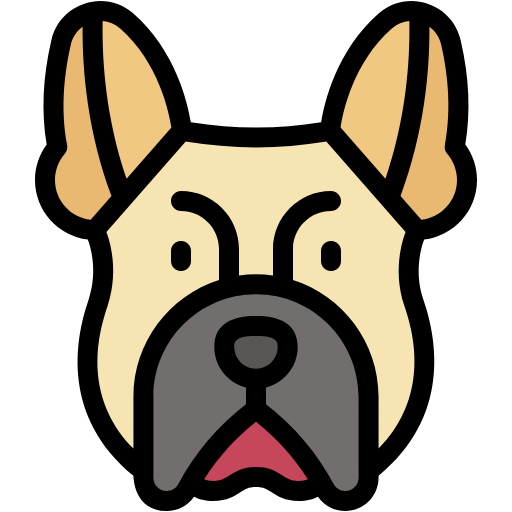 Free French bulldog icon lineal-color style