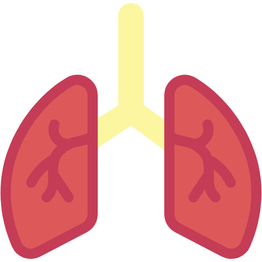 Free Lungs icon flat style