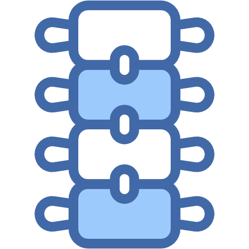 Free Backbone icon two-color style