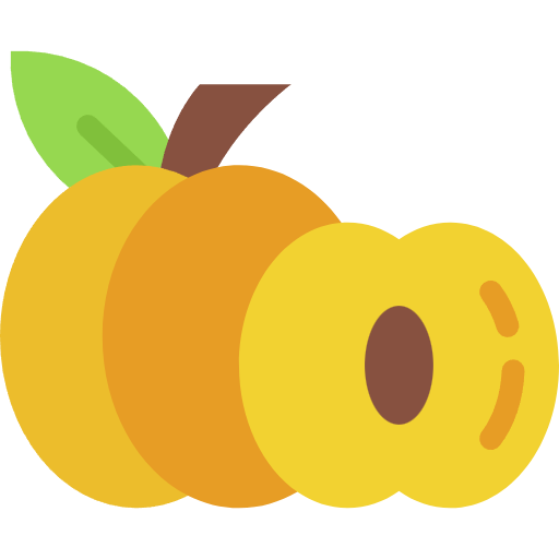 Free Apricot icon flat style
