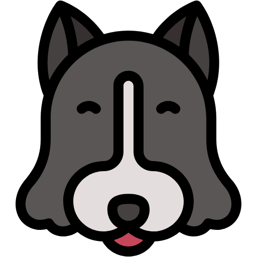 Free Border collie icon lineal-color style