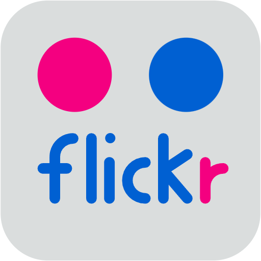 Free Flickr icon flat style