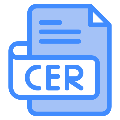 Free CER File icon two-color style