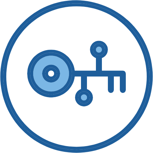 Free Smart Key icon two-color style