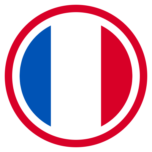 Free France icon flat style