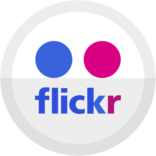 Free Flickr icon flat style