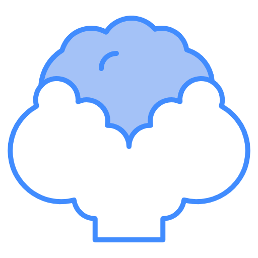 Free Cauliflower icon two-color style